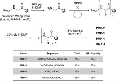 Conformational switch and multiple supramolecular structures of a newly identified self-assembling protein-mimetic peptide from Pseudomonas aeruginosa YeaZ protein